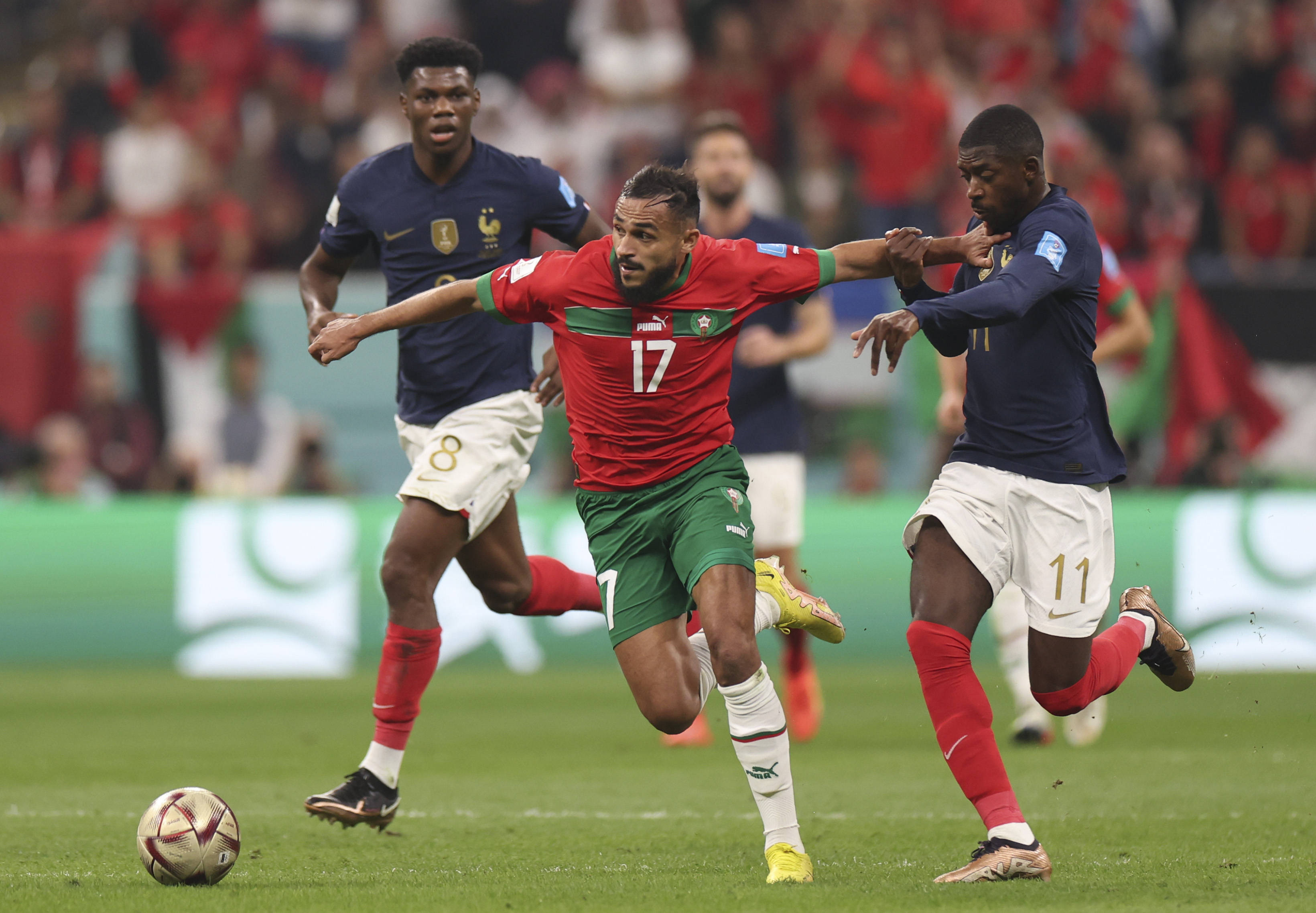 忠诚和影响 忠诚和影响